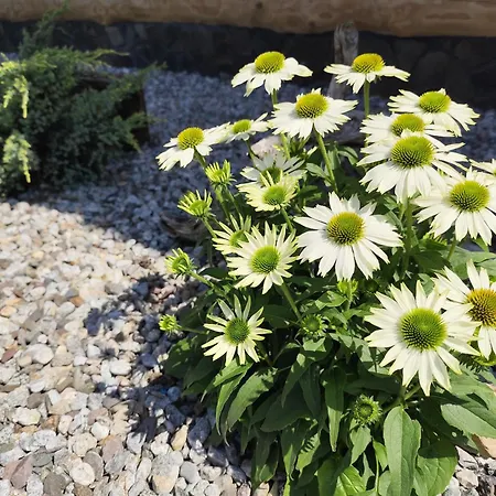 Ferienhaus Zrub Holy Cross *