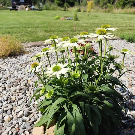 בית נופש Zrub Holy Cross