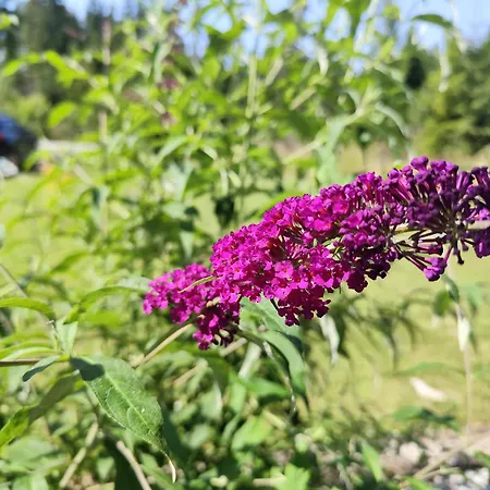 Ferienhaus Zrub Holy Cross