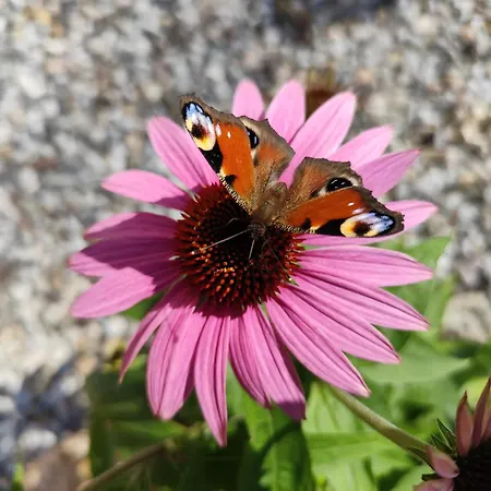 בית נופש Zrub Holy Cross *