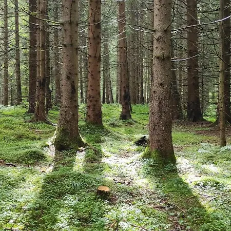 Zrub Holy Cross Feriehus